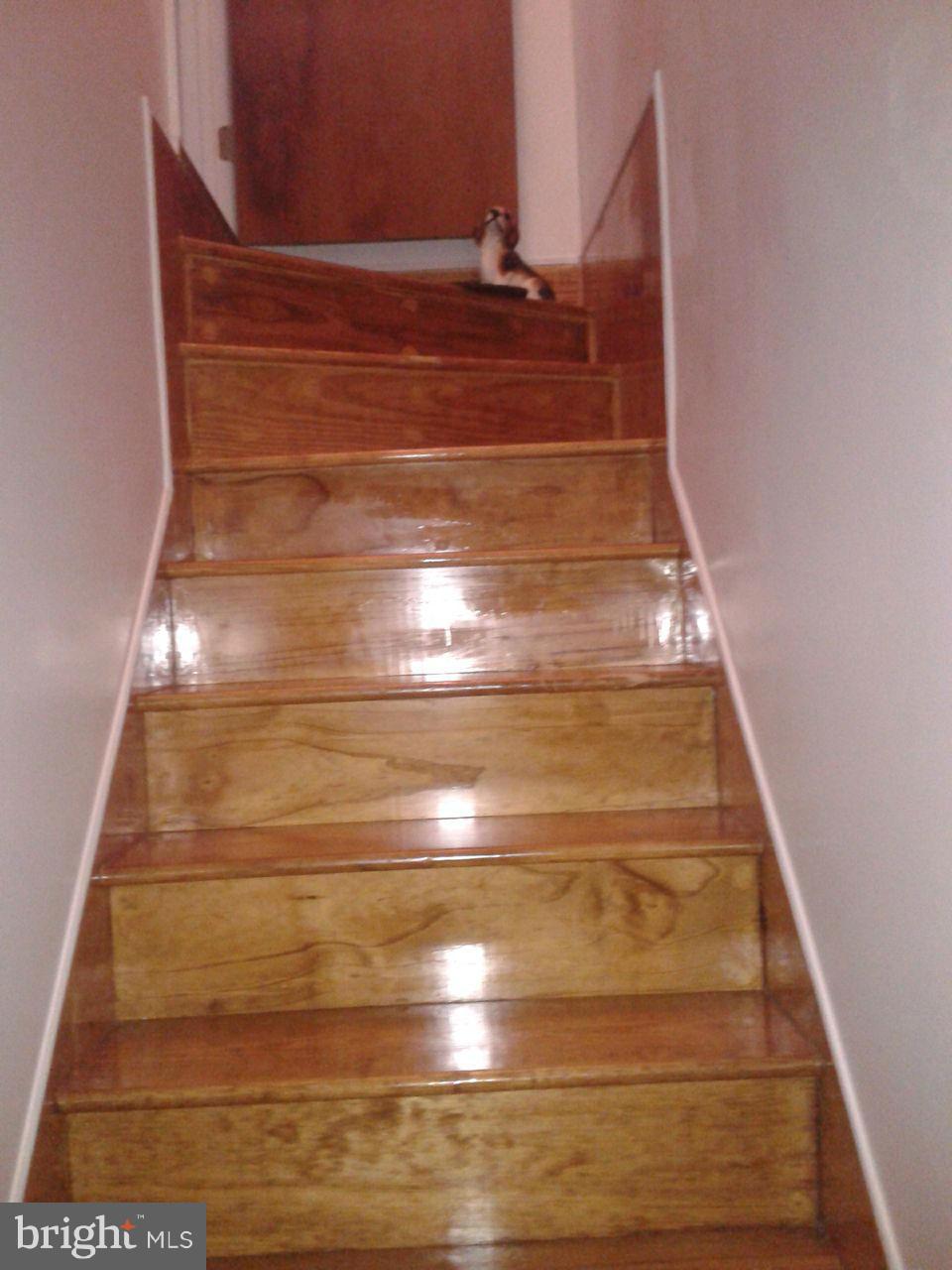 7808 East Shore Road Pasadena, MD 21122 - Photo 17 of 30 Interior (General)