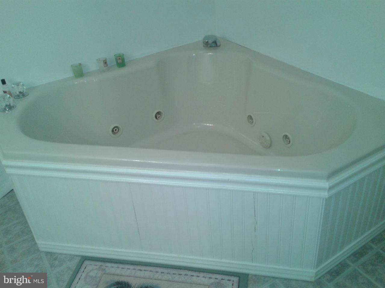 7808 East Shore Road Pasadena, MD 21122 - Photo 24 of 30 Bath