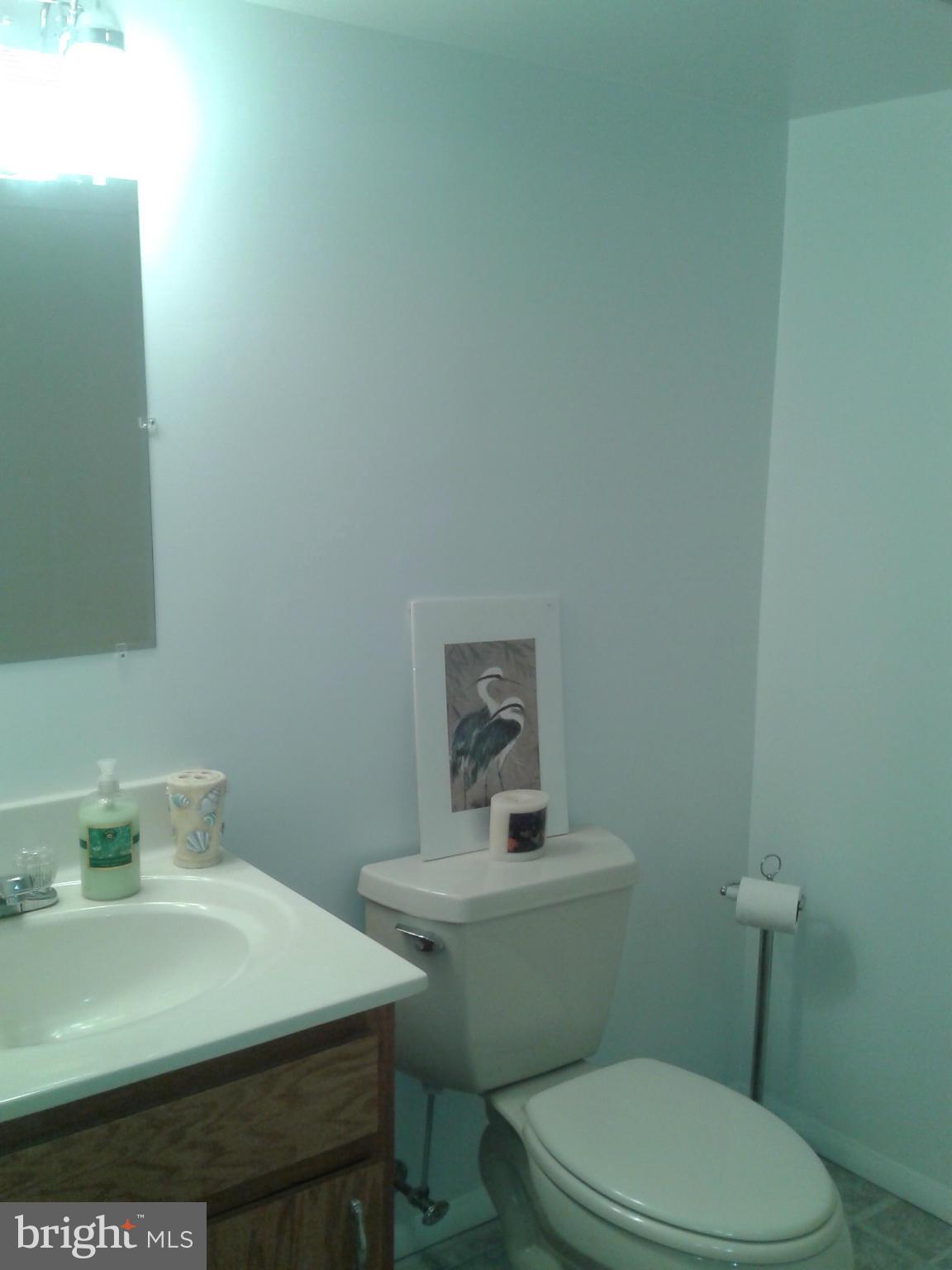 7808 East Shore Road Pasadena, MD 21122 - Photo 25 of 30 Bath