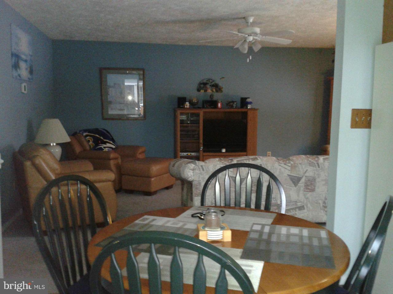 7808 East Shore Road Pasadena, MD 21122 - Photo 6 of 30 Dining Room