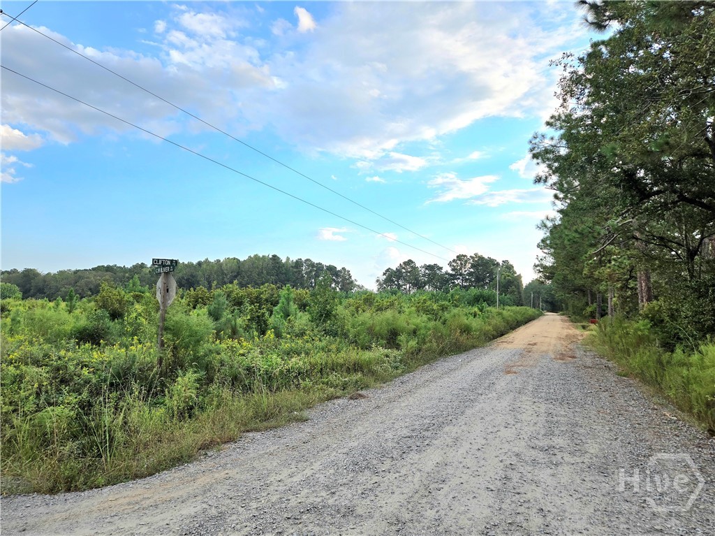 0 G W Oliver Road Statesboro, GA 30458 - Photo 7 of 13
