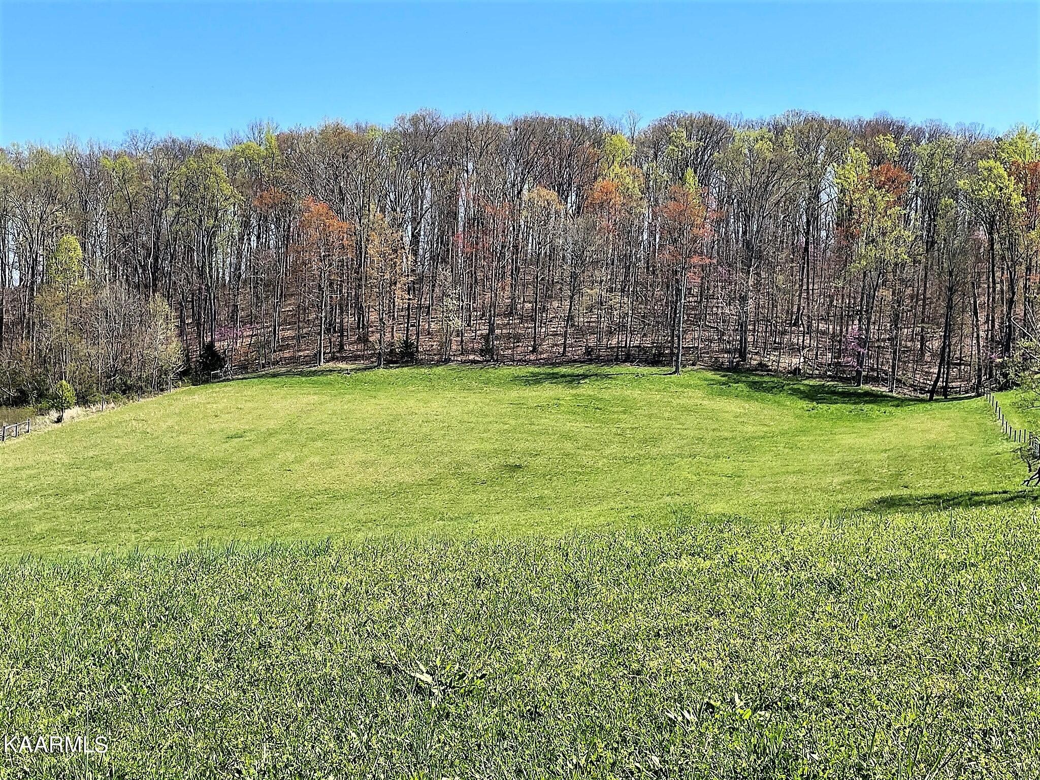 1616 Three Springs Road Russellville, TN 37860 - Photo 2 of 14 Gallery Image 2