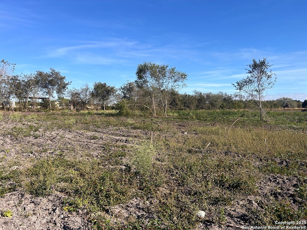 1130 North Highway 181 Frontage Road Beeville, TX 78102 - Photo 6 of 19 a view of a field with trees in background