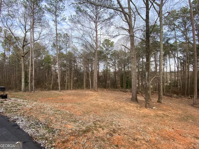 $385,000 | 21 Old Carrollton Road, Newnan, GA 30263