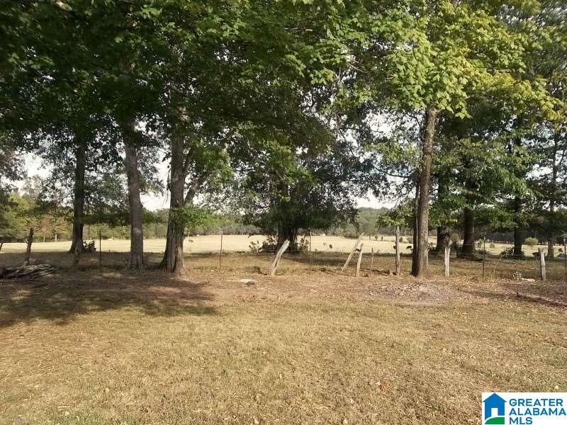 317 Hayes Road Talladega, AL 35160 - Photo 7 of 22