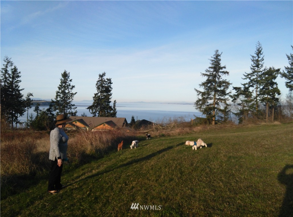 203 Spring View Place Sequim, WA 98382 - Photo 18 of 22 Gallery Image 18
