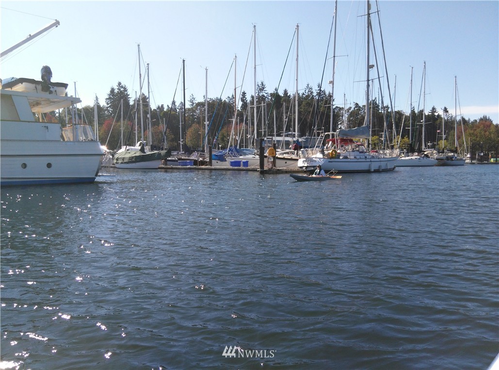 203 Spring View Place Sequim, WA 98382 - Photo 20 of 22 Gallery Image 20