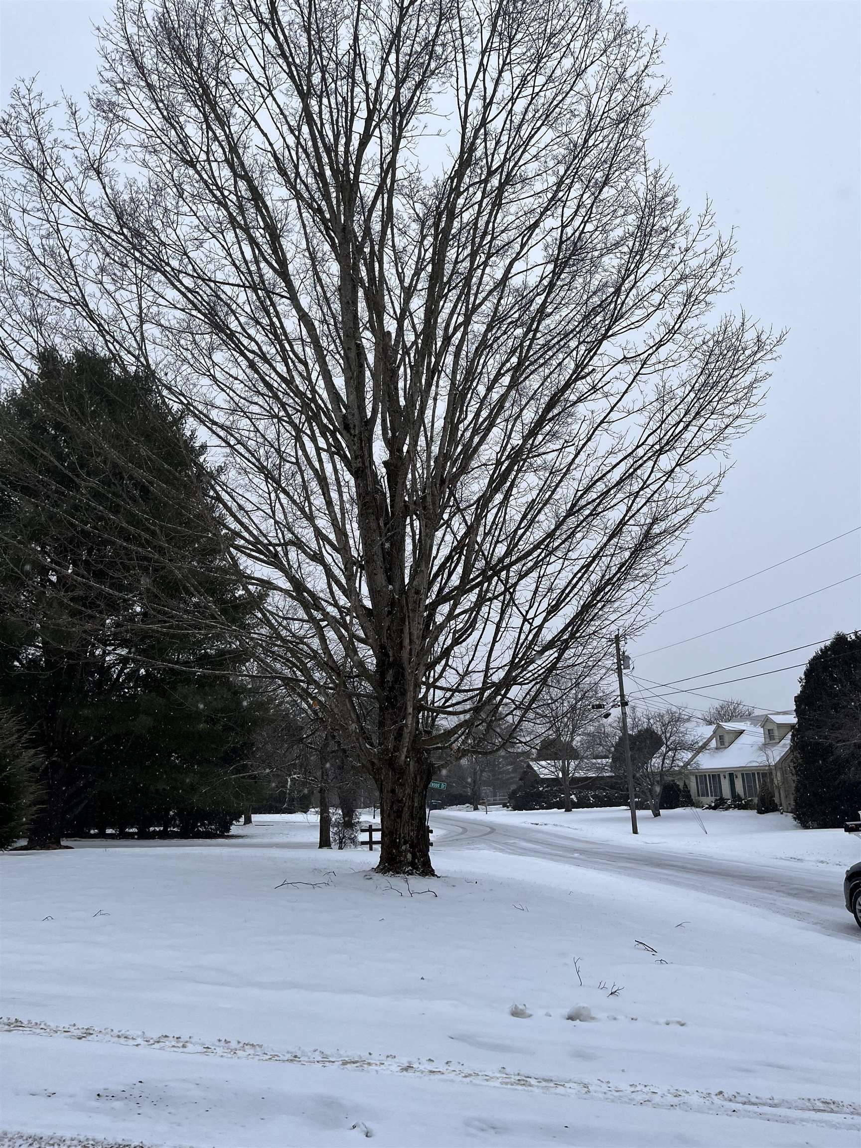 8 Charter Hill Drive Rutland, VT 05701 - Photo 33 of 38