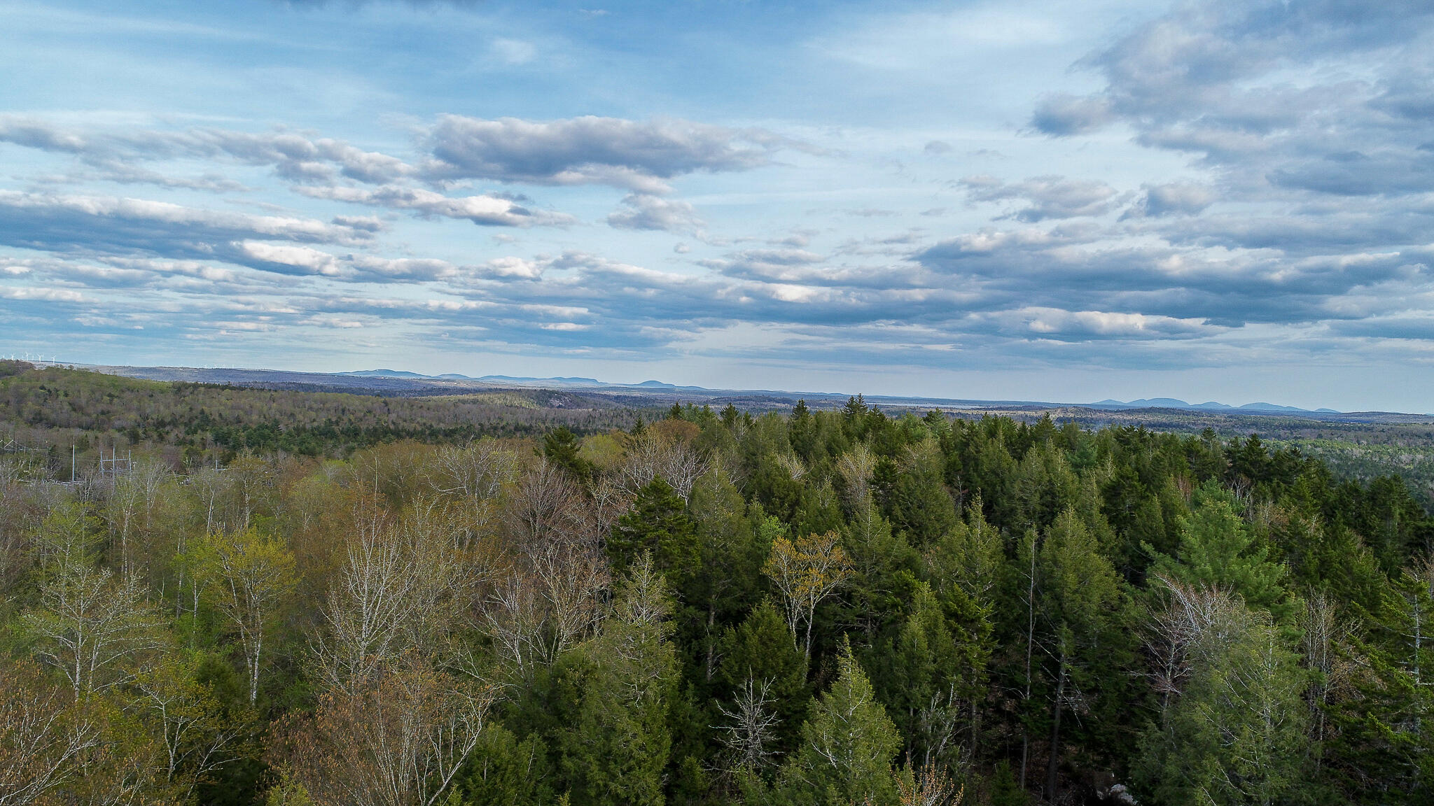 1509 Otis Road Ellsworth, ME 04605 - Photo 4 of 26 DJI_0019-2