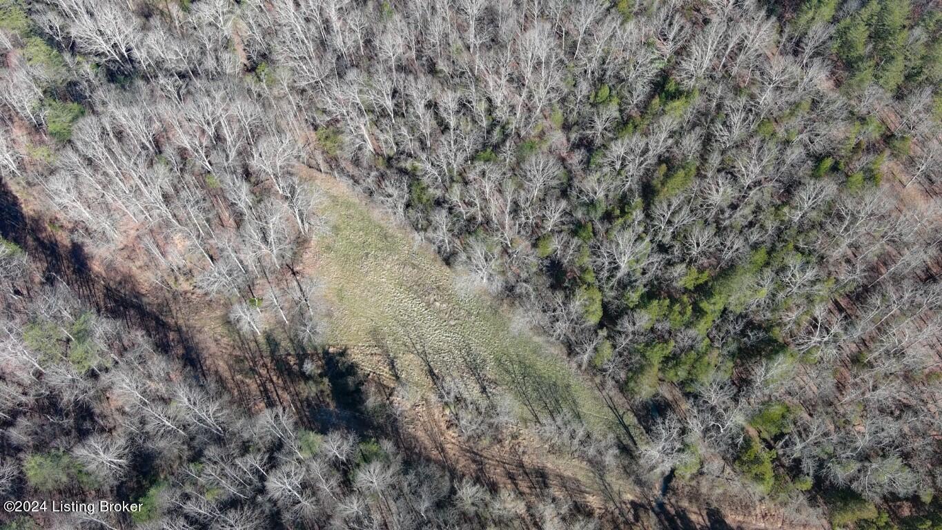 830 Skaggs Road Clarkson, KY 42726 - Photo 74 of 74 830 Skaggs Rd-30