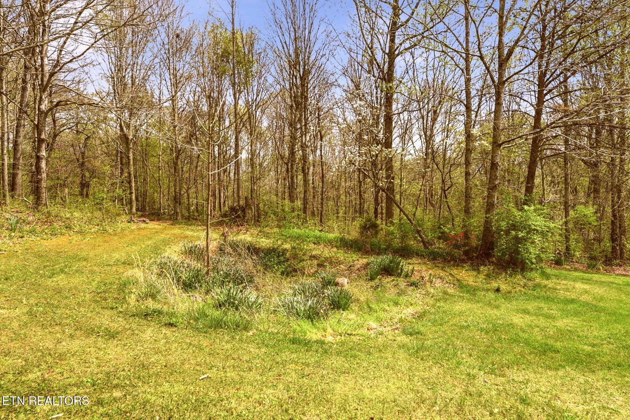 2814 Silver Creek Road Knoxville, TN 37924 - Photo 37 of 38
