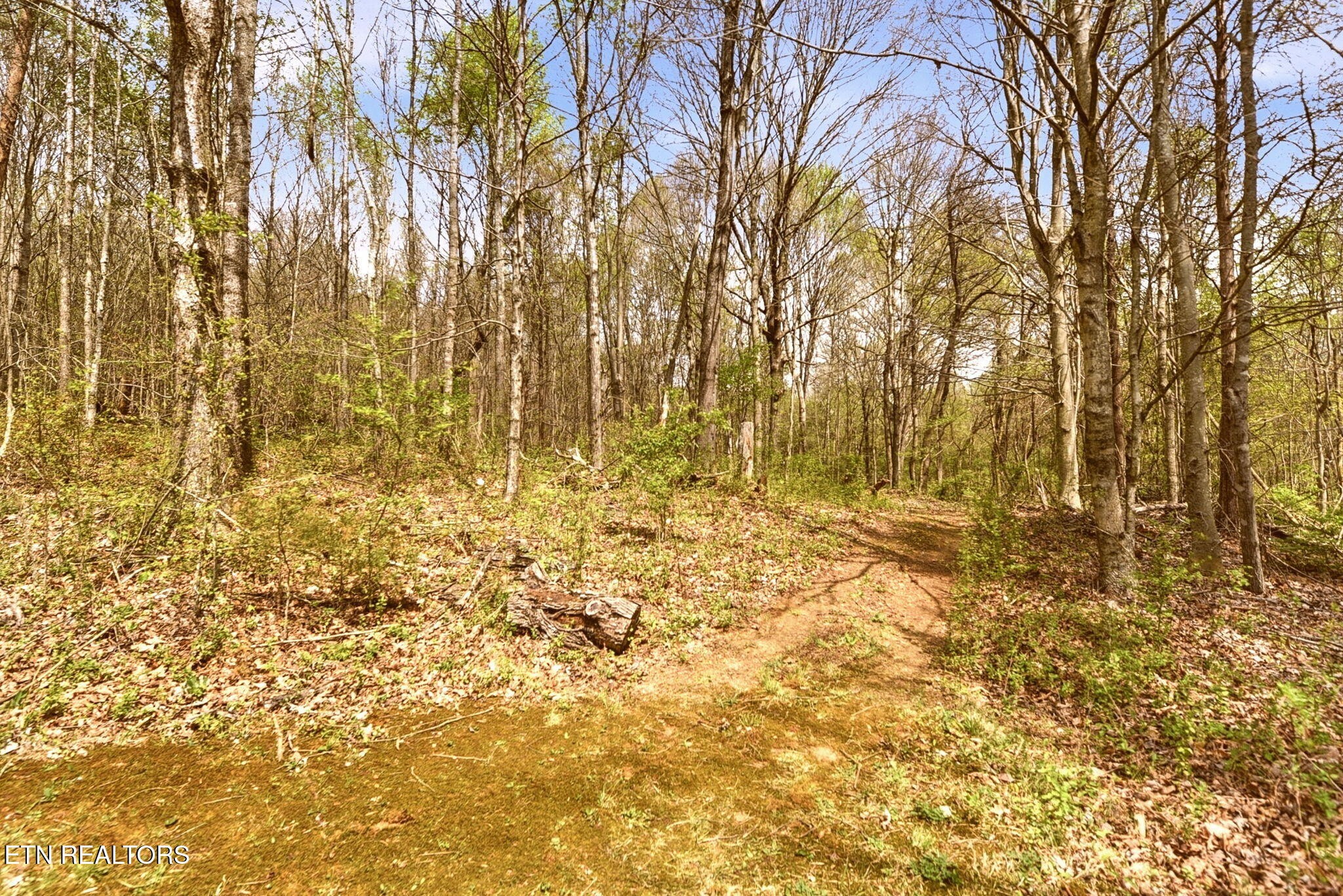2814 Silver Creek Road Knoxville, TN 37924 - Photo 38 of 38