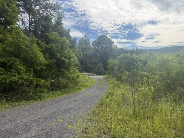 6160 Highway 66 Randolph, VT 05061 - Photo 8 of 20