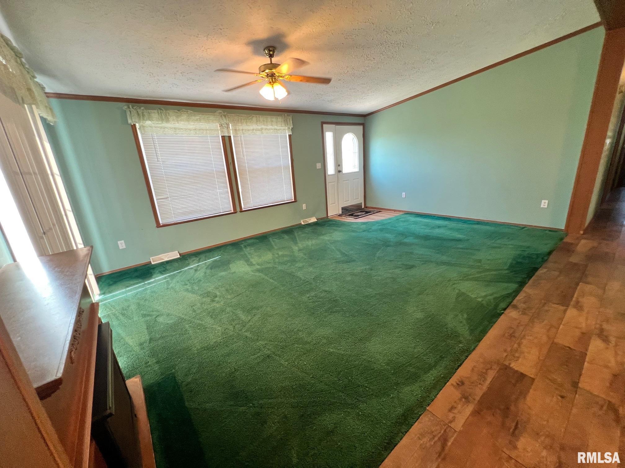 517 South O'Bannon Street Raymond, IL 62560 - Photo 8 of 13