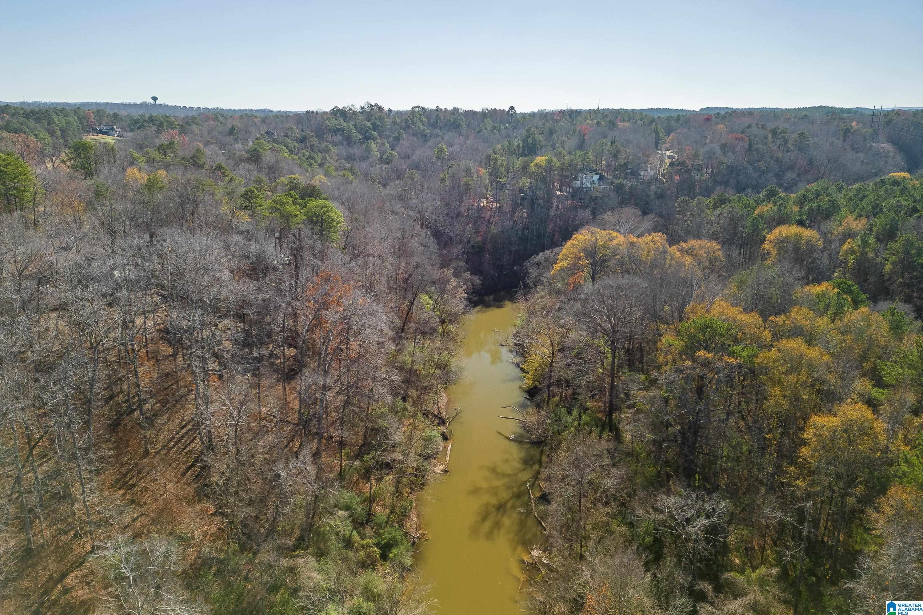 1224 River Road Birmingham, AL 35244 - Photo 45 of 52