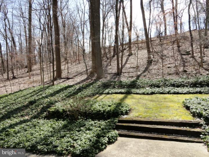 558 Church Road Malvern, PA 19355 - Photo 15 of 17 View from Front Door