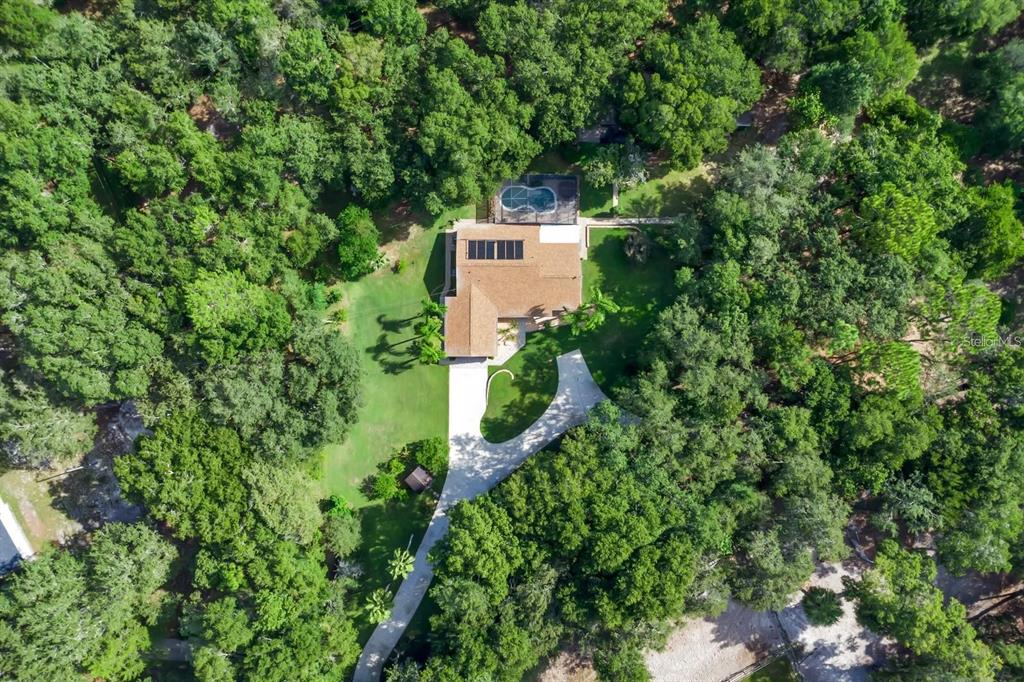 2619 West Ponkan Road Apopka, FL 32712 - Photo 2 of 3