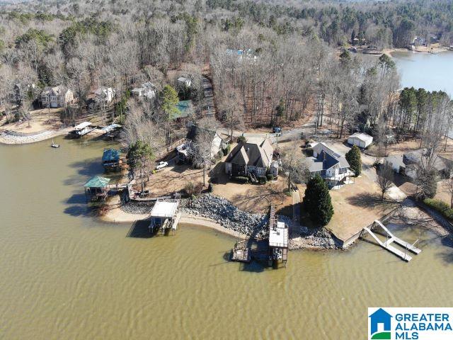 386 Lakeview Circle Alpine, AL 35014 - Photo 45 of 48