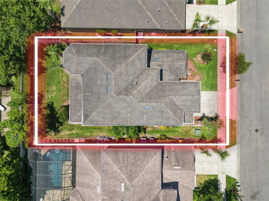 8775 Sentiero Drive Land O Lakes, FL 34637 - Photo 6 of 76