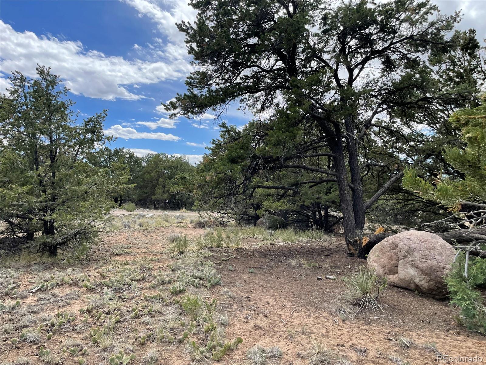 4303 Fallen Tree Way Crestone, CO 81131 - Photo 11 of 19