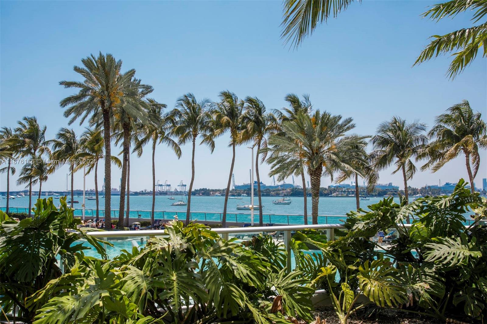 1500 Bay Road, Unit 866S Miami Beach, FL 33139 - Photo 3 of 19 a view of a palm tree with a plant