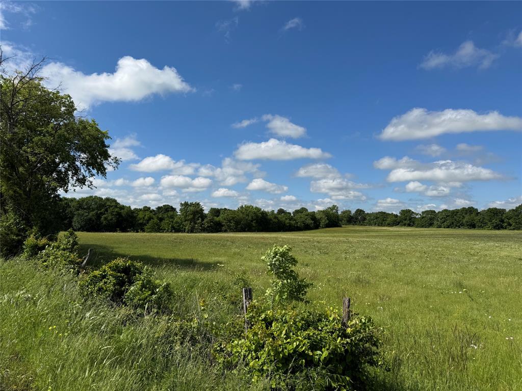Lot 2 Tribble Road Sherman, TX 75090 - Photo 5 of 20 a view of an lake and a houses