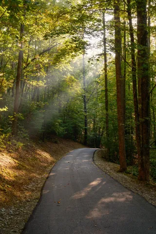 $15,500,000 | 1500 Pk Vista Trail, Dillard, GA 30537