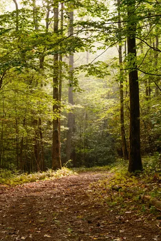 $15,500,000 | 1500 Pk Vista Trail, Dillard, GA 30537