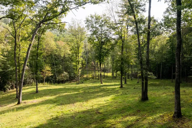 $15,500,000 | 1500 Pk Vista Trail, Dillard, GA 30537