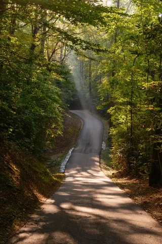 $15,500,000 | 1500 Pk Vista Trail, Dillard, GA 30537