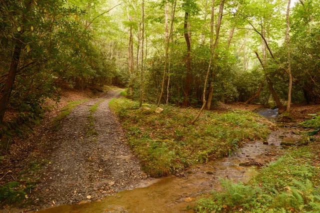 $15,500,000 | 1500 Pk Vista Trail, Dillard, GA 30537