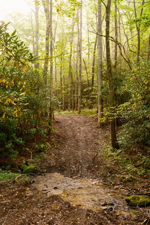 $15,500,000 | 1500 Pk Vista Trail, Dillard, GA 30537