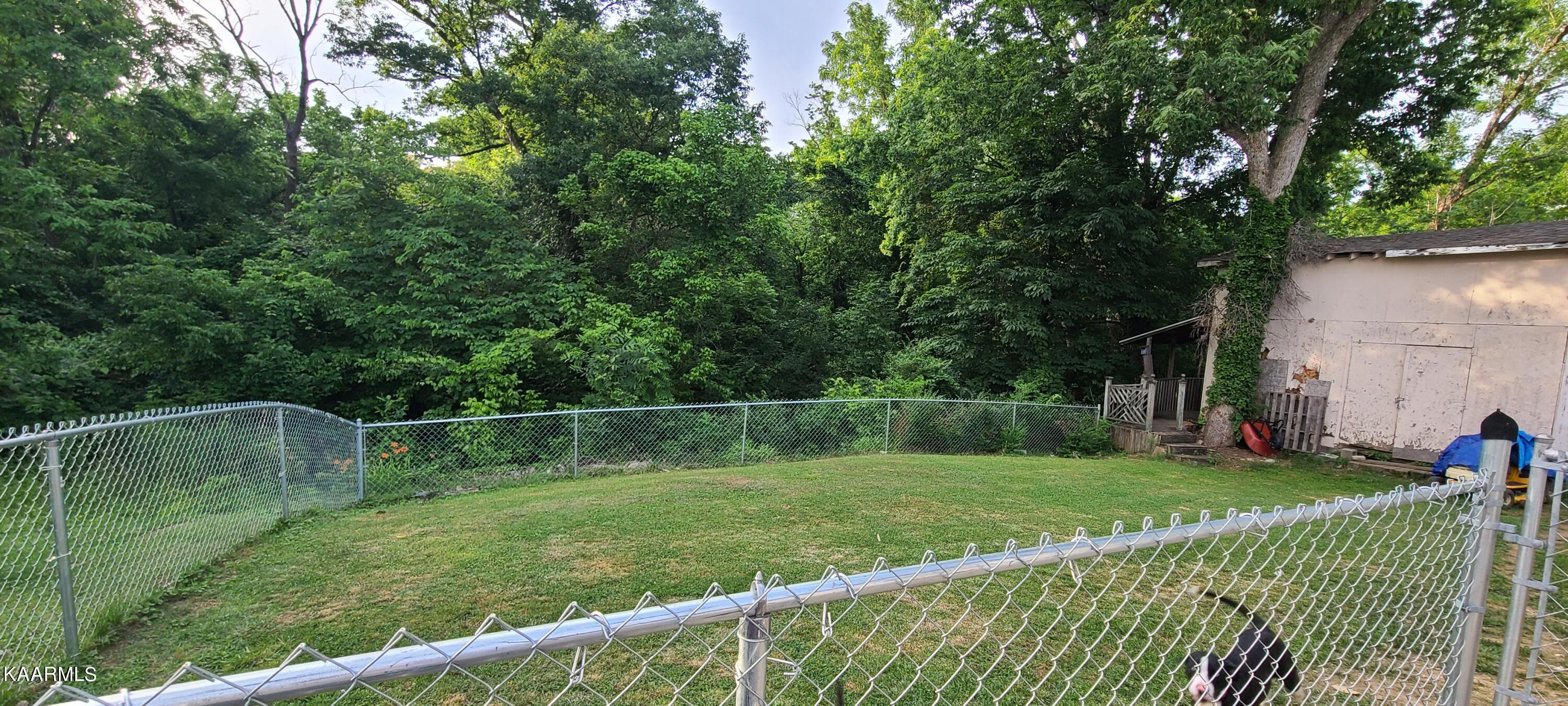 133 Tyson Road Oak Ridge, TN 37830 - Photo 19 of 19 20220612_191419