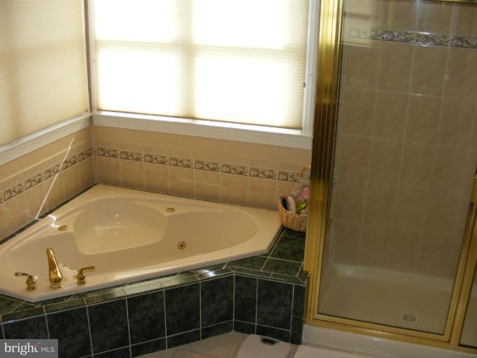 2941 Lonesome Dove Road Mount Airy, MD 21771 - Photo 22 of 30 Master bath with separate tub and shower