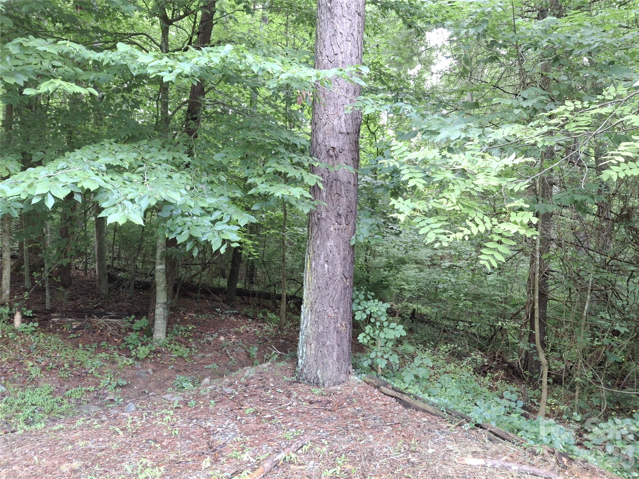 232 Tilson Street Mars Hill, NC 28754 - Photo 8 of 22