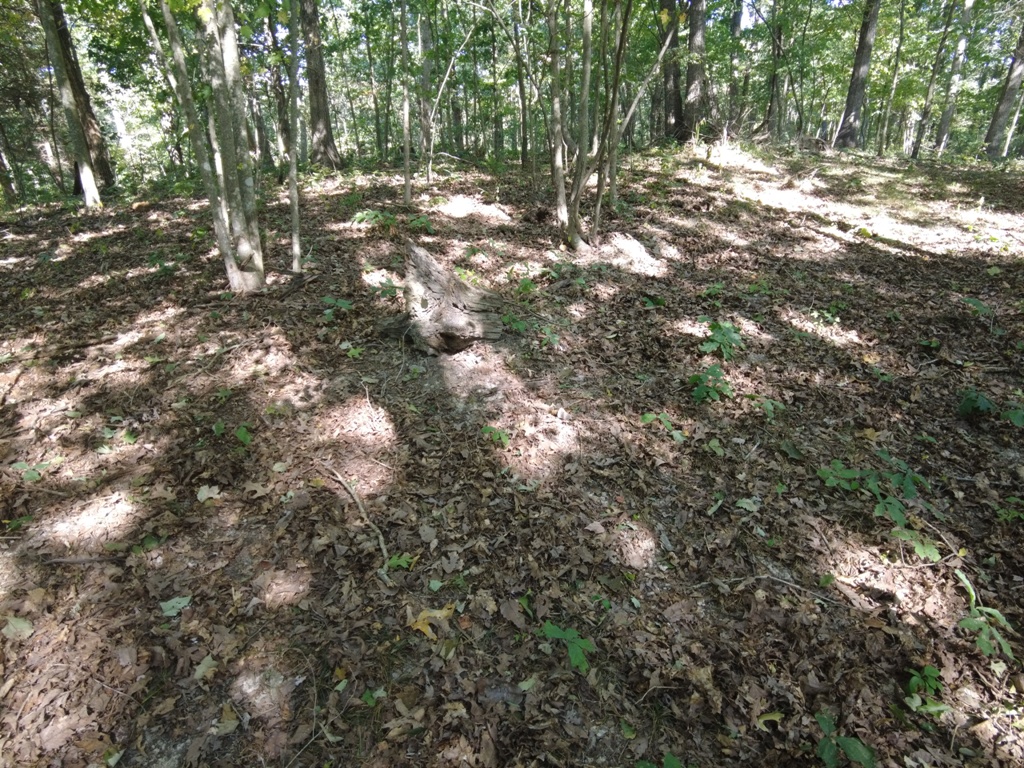 16 Black Hollow Road Peebles, OH 45660 - Photo 24 of 39