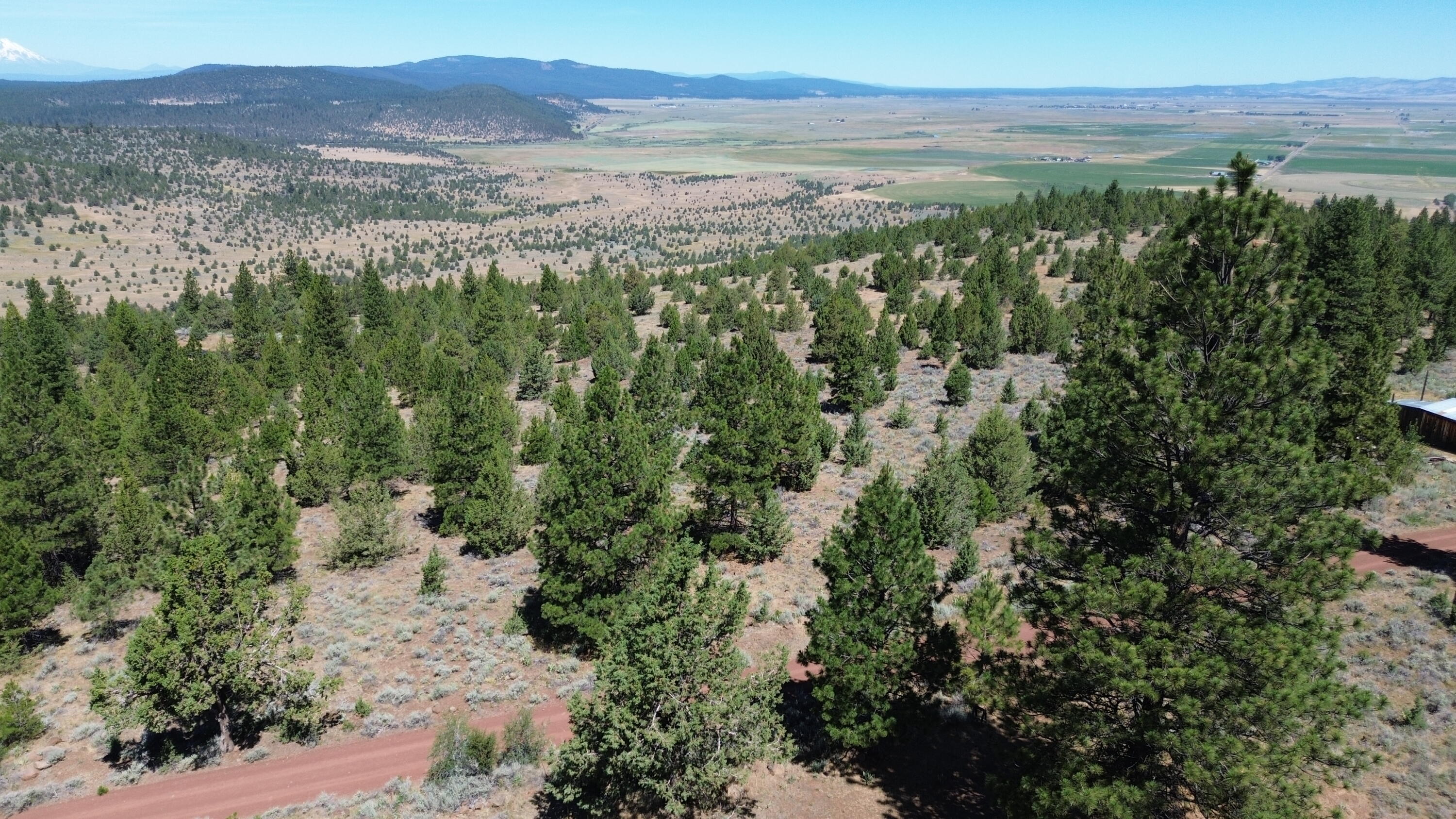 542-405 Punkin Center Road Bieber, CA 96009 - Photo 127 of 127 FOREST