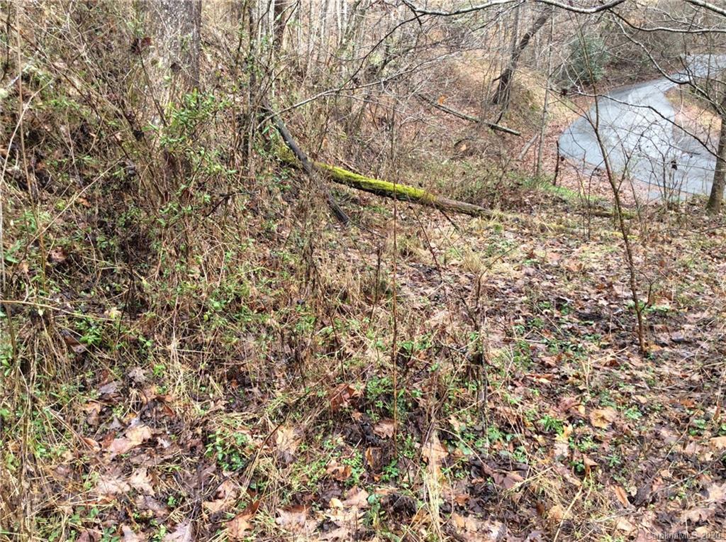 0 Parris Branch Road Northeast Sylva, NC 28779 - Photo 11 of 15 Gallery Image 11