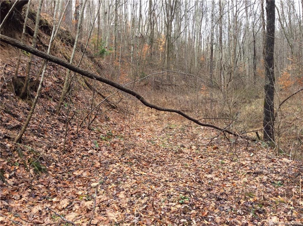 0 Parris Branch Road Northeast Sylva, NC 28779 - Photo 12 of 15 Gallery Image 12