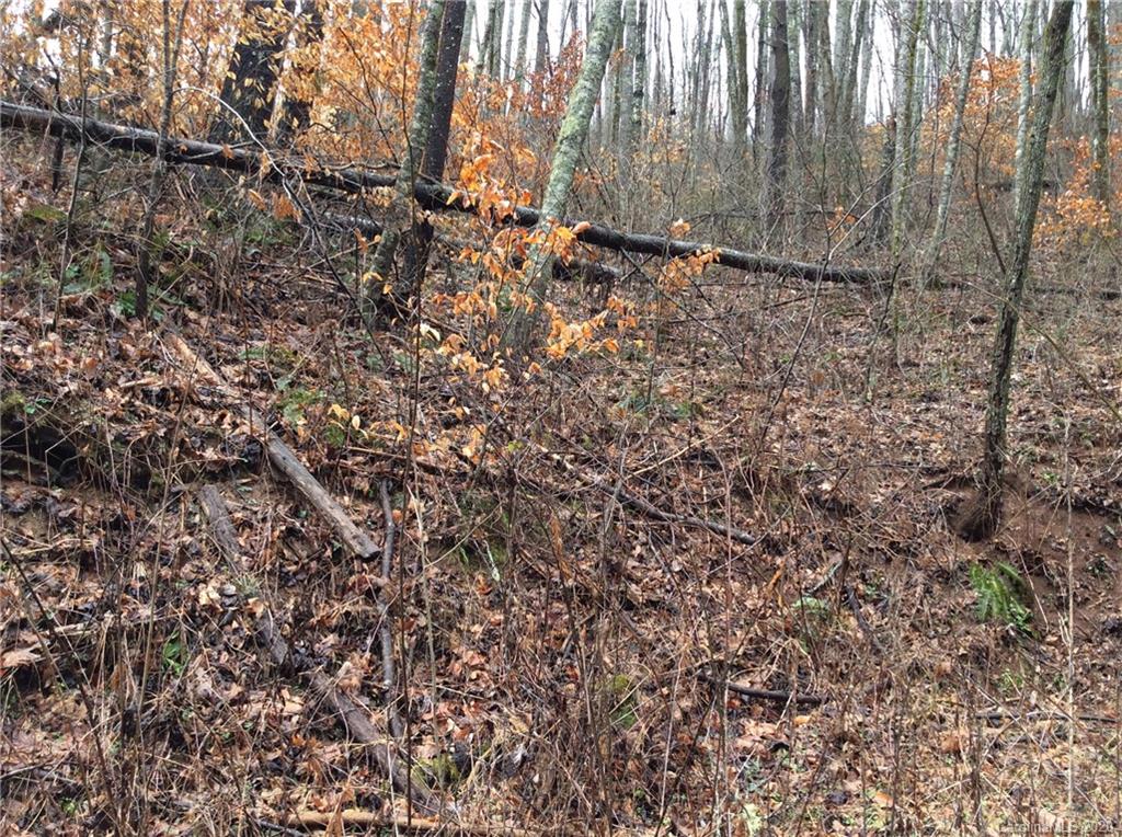 0 Parris Branch Road Northeast Sylva, NC 28779 - Photo 13 of 15 Gallery Image 13