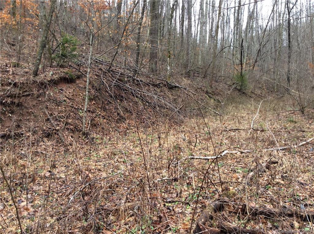 0 Parris Branch Road Northeast Sylva, NC 28779 - Photo 14 of 15 Gallery Image 14