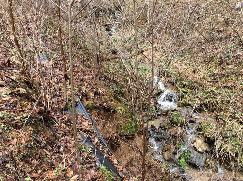 0 Parris Branch Road Northeast Sylva, NC 28779 - Photo 15 of 15 Gallery Image 15