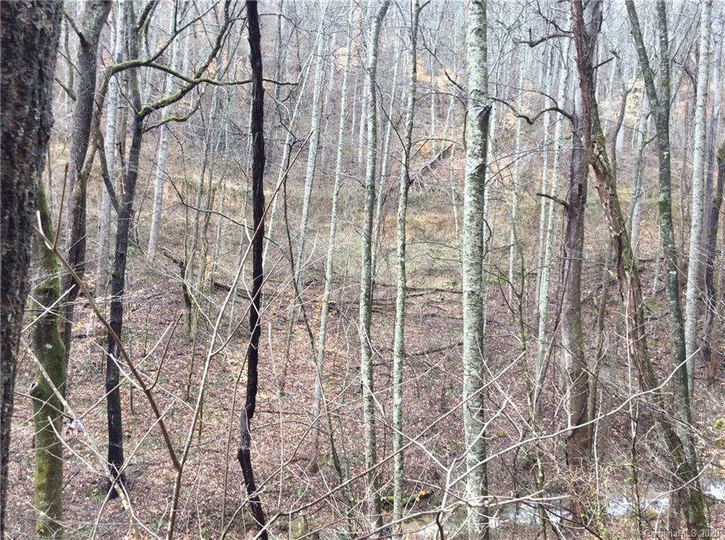 0 Parris Branch Road Northeast Sylva, NC 28779 - Photo 6 of 15 Gallery Image 6