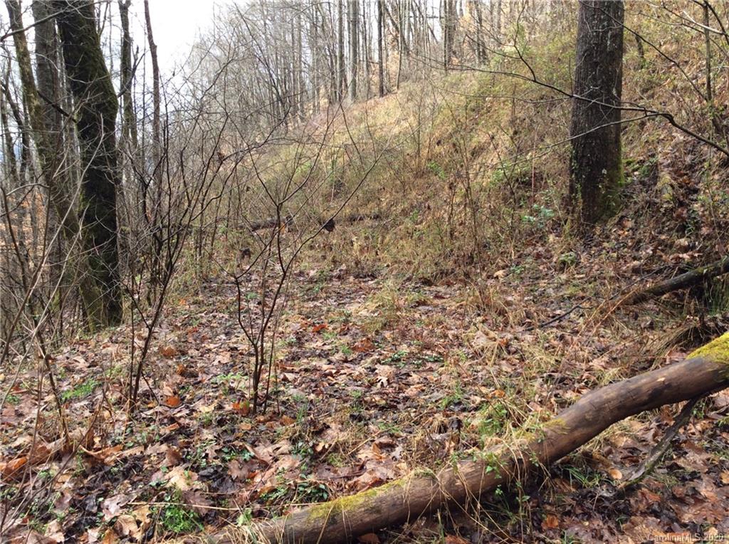 0 Parris Branch Road Northeast Sylva, NC 28779 - Photo 7 of 15 Gallery Image 7