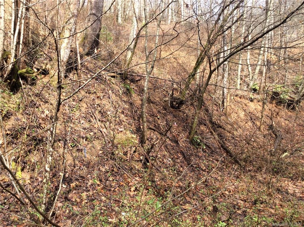 0 Parris Branch Road Northeast Sylva, NC 28779 - Photo 8 of 15 Gallery Image 8