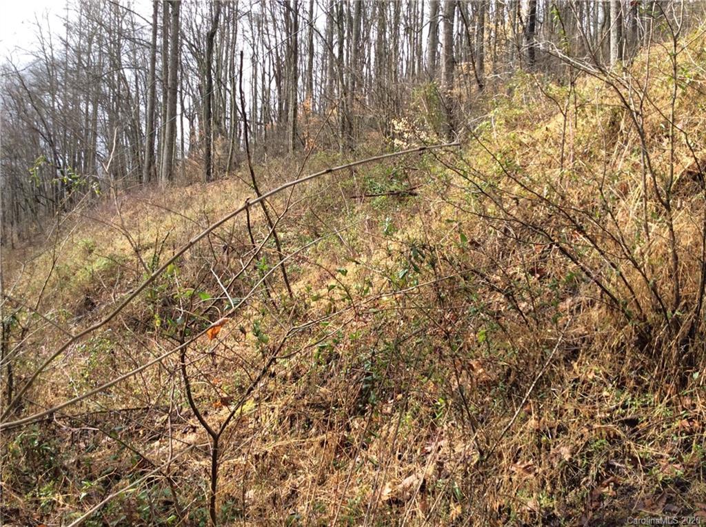 0 Parris Branch Road Northeast Sylva, NC 28779 - Photo 10 of 15 Gallery Image 10