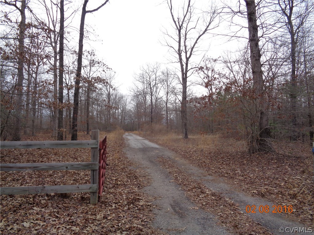 20172 Horseshoe Road Carson, VA 23830 - Photo 23 of 27 a view of a yard with large trees