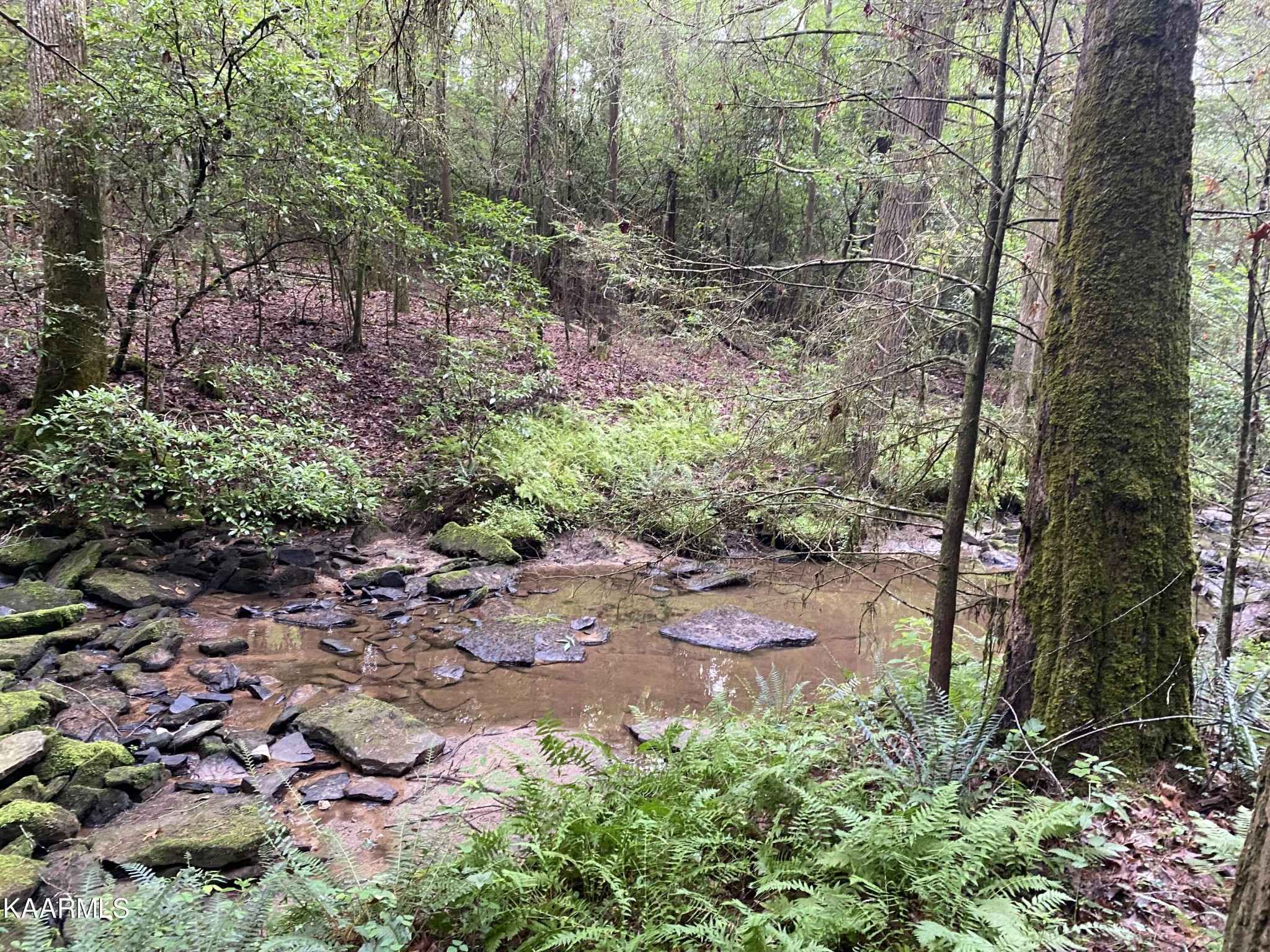 0 Russell Ridge Road Crossville, TN 38555 - Photo 1 of 15 Gallery Image 1