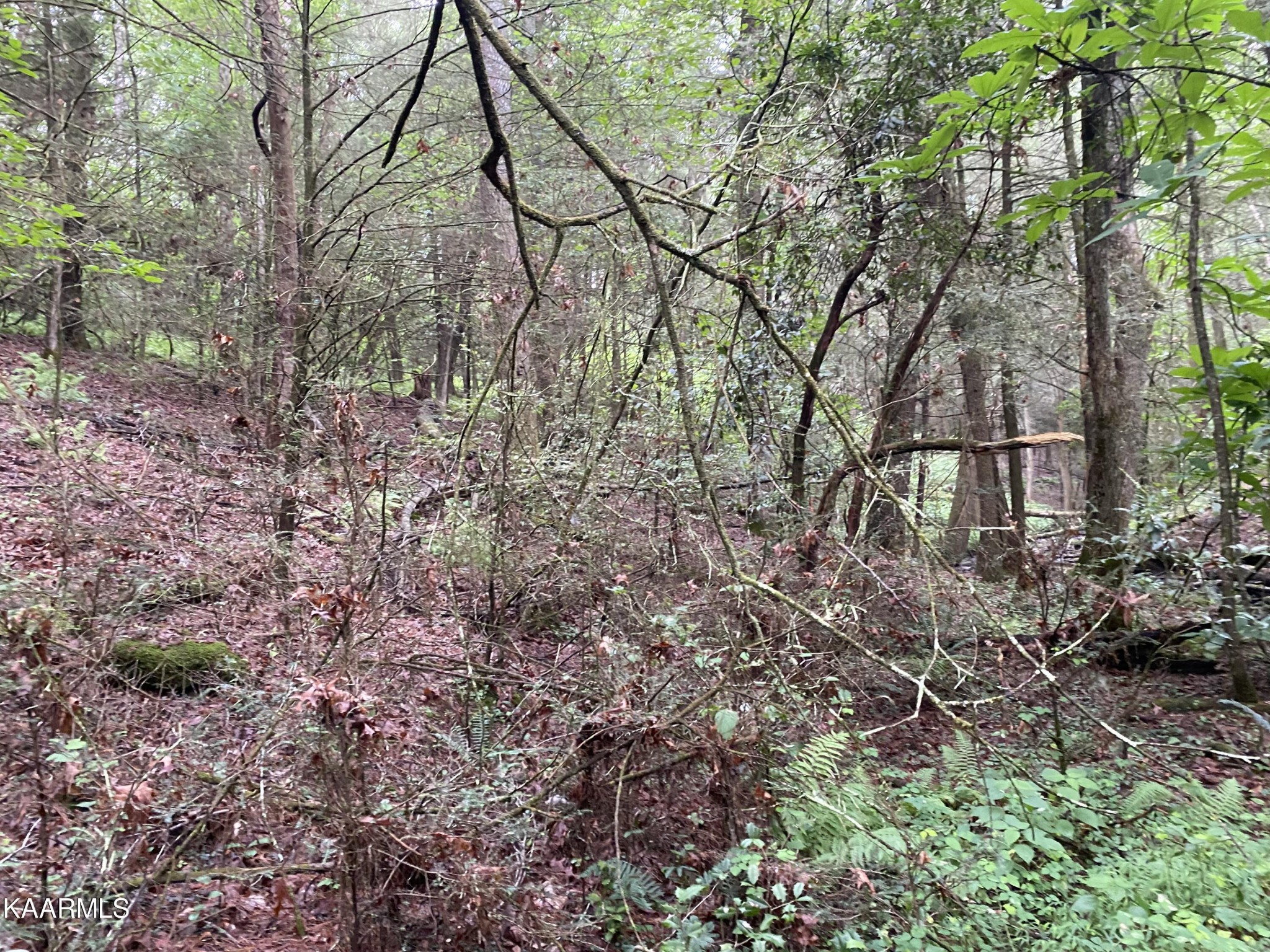 0 Russell Ridge Road Crossville, TN 38555 - Photo 13 of 15 Gallery Image 13