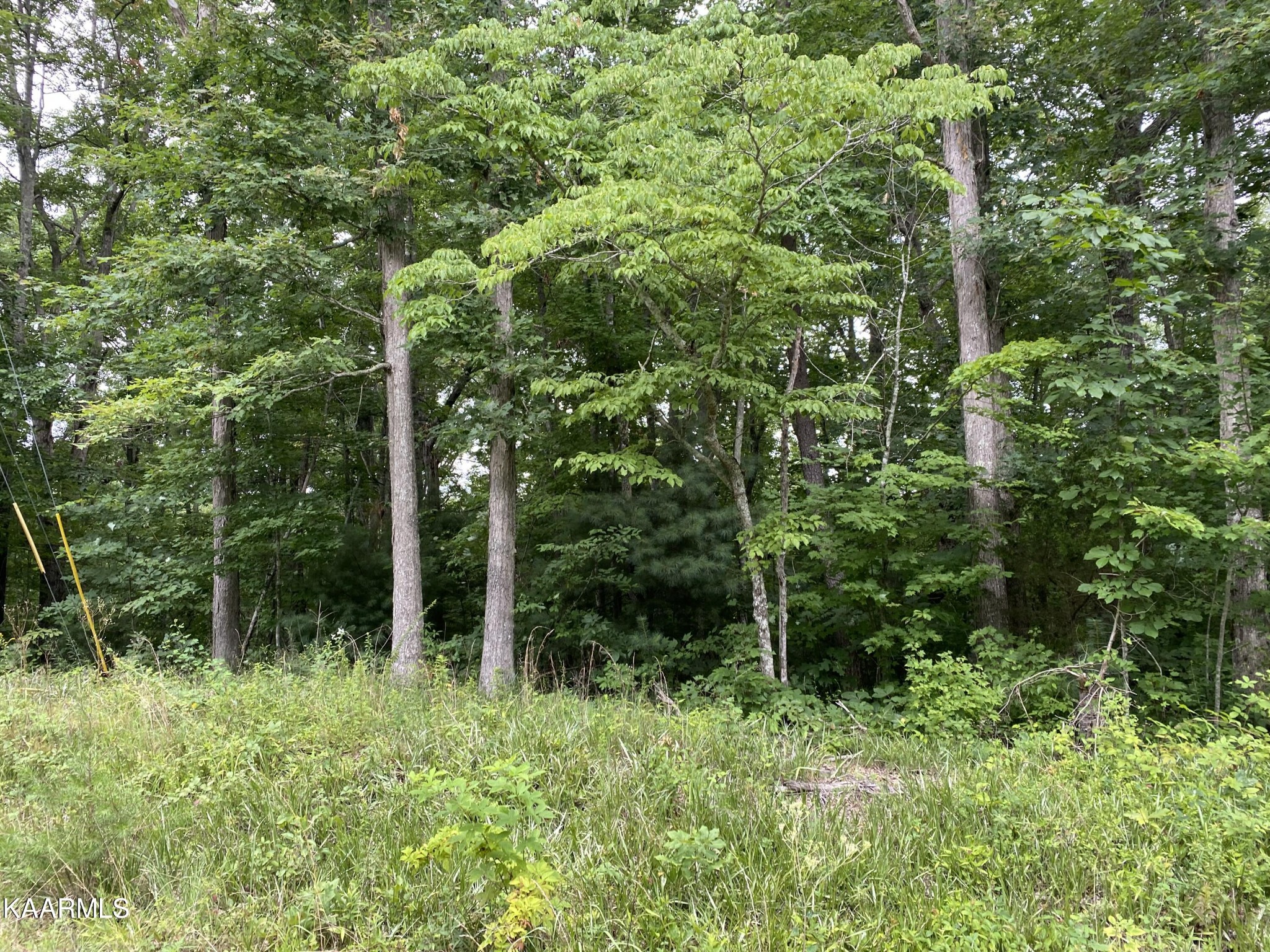 0 Russell Ridge Road Crossville, TN 38555 - Photo 6 of 15 Gallery Image 6